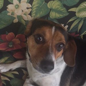 Meet your Posher, Carin